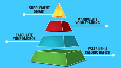 The Pyramid Of Fat Loss